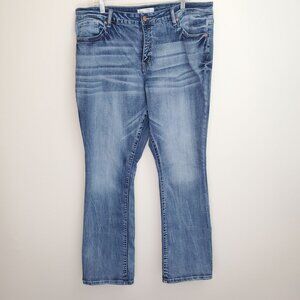 Buckle BKE Gabby curvy boot cut jeans